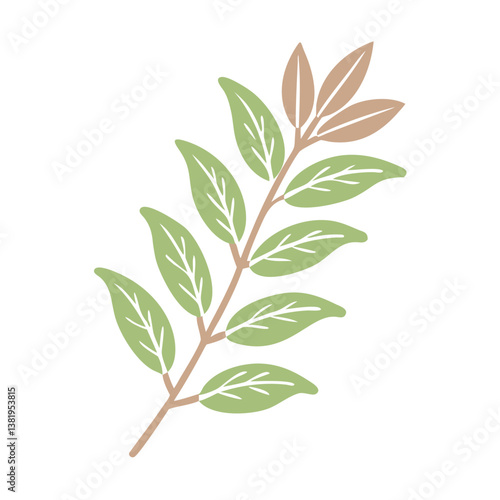 Lemon Verbena Branch Illustration, Aloysia Citrodora