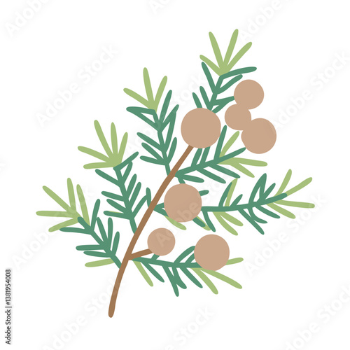 Stylized Juniper Branch with Berries Illustration
