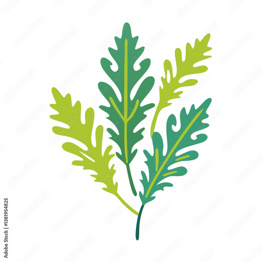 Fototapeta premium Costmary Leaves Illustration, Tanacetum Balsamita
