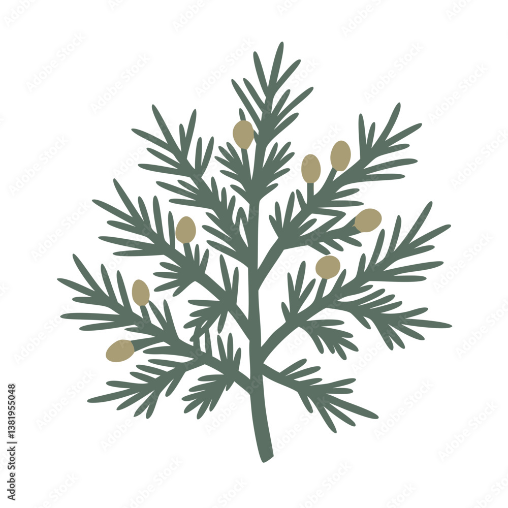 Obraz premium Cedarwood Branch Illustration with Berries