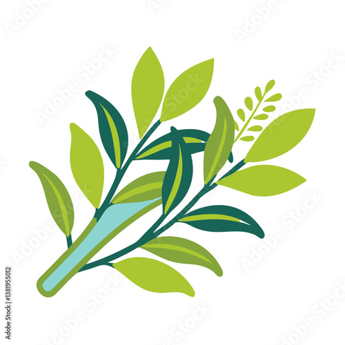 Cinnamon Leaf Vector Illustration, Cinnamomum Verum
