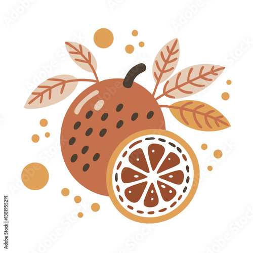 Stylized Bitter Orange Citrus Aurantium Illustration