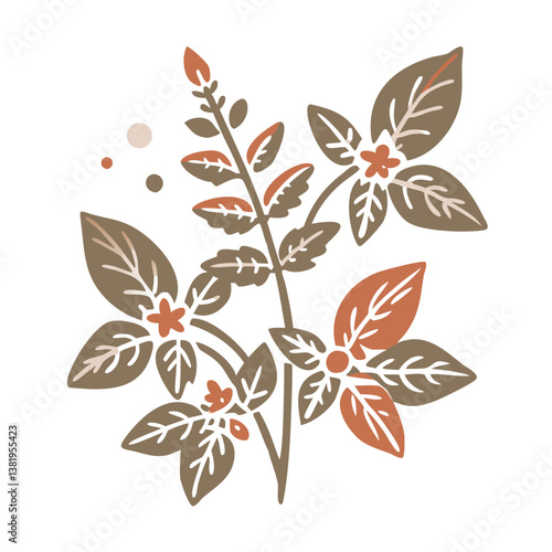 Basil Herb Illustration, Ocimum Basilicum Plant