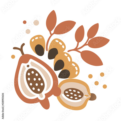 Balsam of Peru Illustration, Myroxylon Balsamum