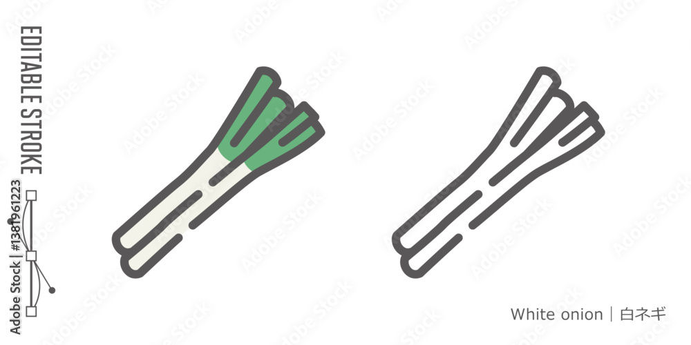 野菜のラインアイコンと色付きアイコンのセット|白ネギ 野菜のラインアイコンと色付きアイコンのセット|白ネギ