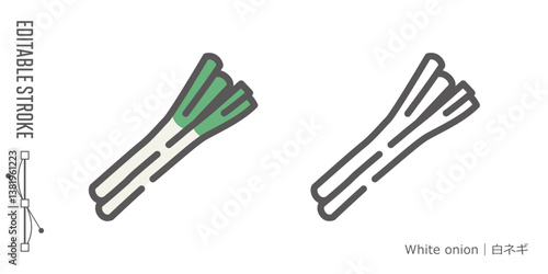 野菜のラインアイコンと色付きアイコンのセット｜白ネギ