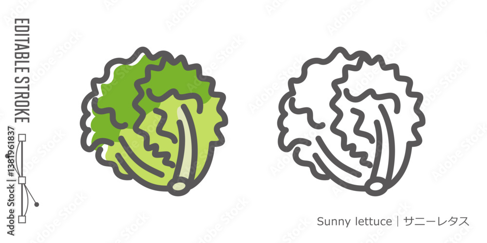 野菜のラインアイコンと色付きアイコンのセット|サニーレタス 野菜のラインアイコンと色付きアイコンのセット|サニーレタス