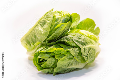 Obraz na płótnie Light mini romaine lettuce w salonie