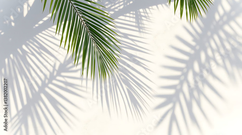 Palm tree leaf shadow on sand background, Natural shadow from tropical coconut palm leaves on beach sand. top view, copy space. Summer vacation concept. Mockup for product or travel background