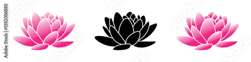 Lostus flowers. Elegant lotus blossom. Pink and black lotus floral.