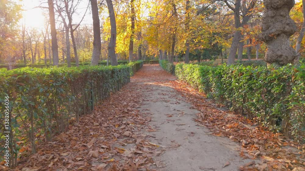 A peaceful and serene pathway that is beautifully surrounded by vibrant autumn foliage and lush greenery, making it an ideal location for a tranquil escape from the hustle and bustle of daily life