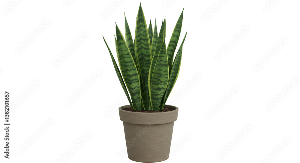 Obraz premium Potted Snake Plant with Green Leaves in Neutral Pot for Home Decor
