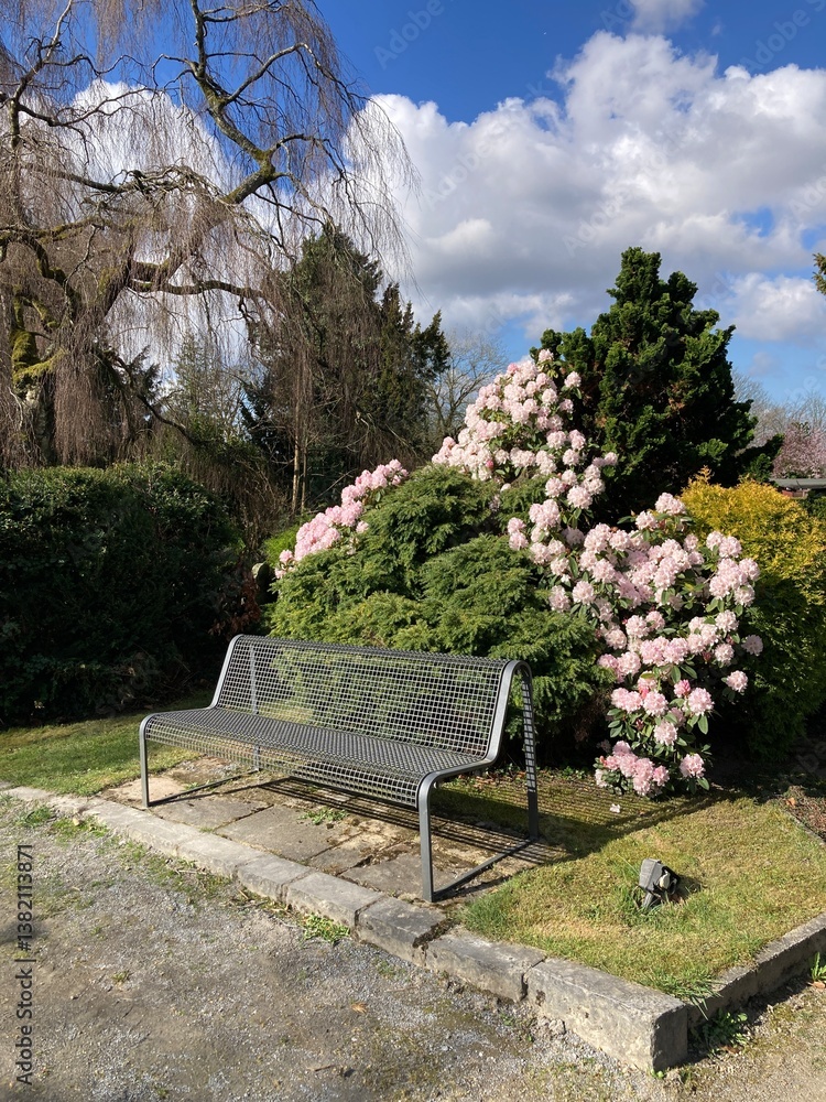 Obraz premium Bank im Park in der Sonne im Frühling, einsam und friedvoll