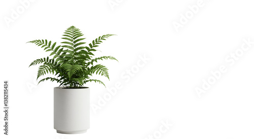 Green Fern in Transparent Pot against Clean Transparent Background for Decor