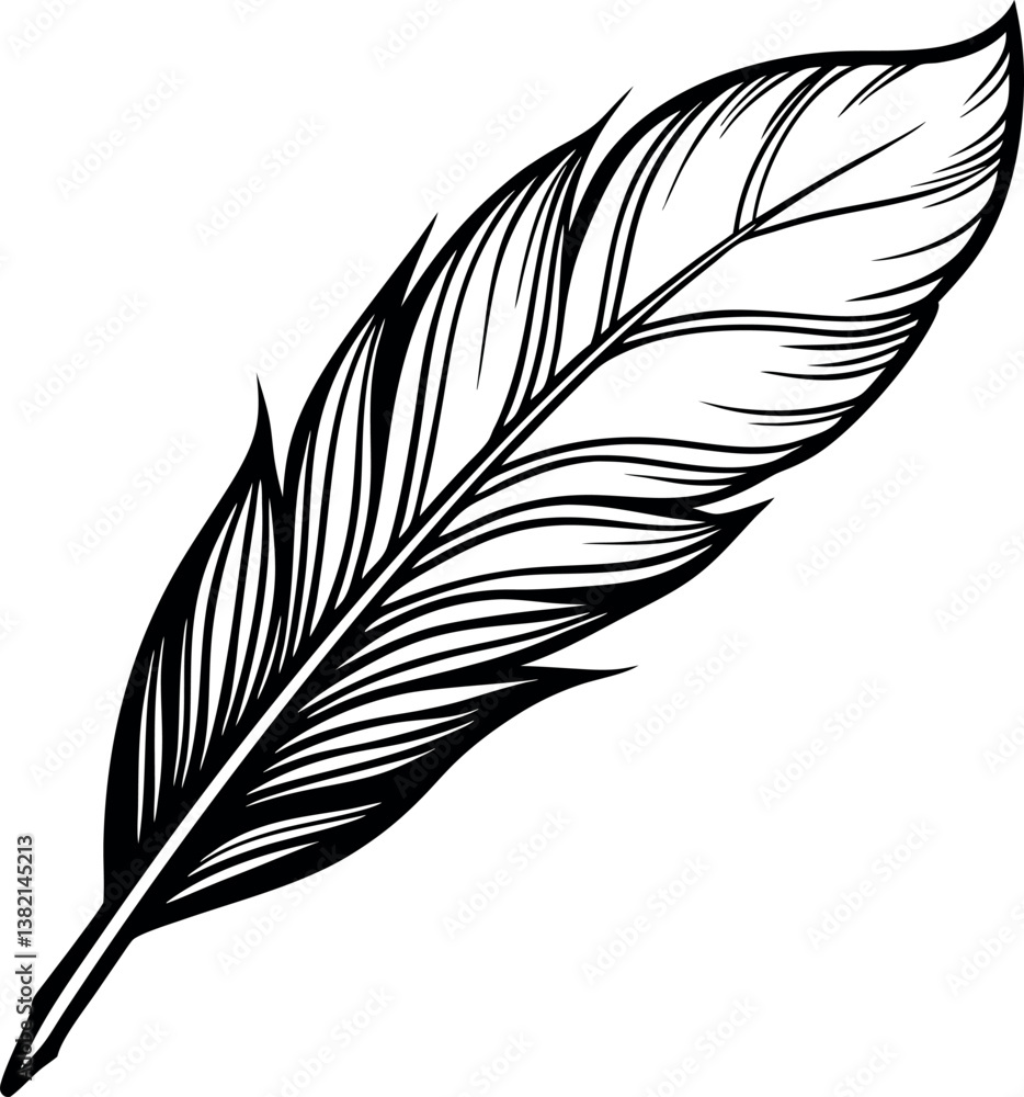 Obraz premium Detailed Line Art Drawing vector silhouette of a Single Bird Feather