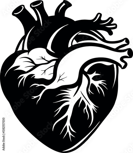 Anatomical Illustration of a Human Heart vector silhouette in Black and White Detailed Vector Graphic