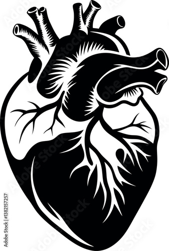 Anatomical Heart Illustration Black vector silhouette and White Detailed Graphic Design