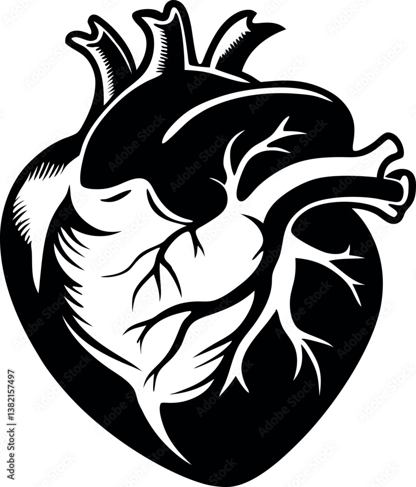 Anatomical Heart Illustration Black vector silhouette Ink Style Graphic Design Anatomical Heart Illustration Black vector silhouette Ink Style Graphic Design