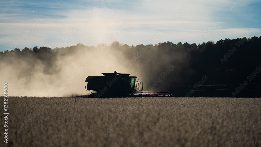 Fototapeta premium Cultivated fields. Combine harvester in a wheat field. Harvesting on rural farm. Combine harvester machinery. Agricultural Combine harvester at work. Rural landscape with a combine harvester.