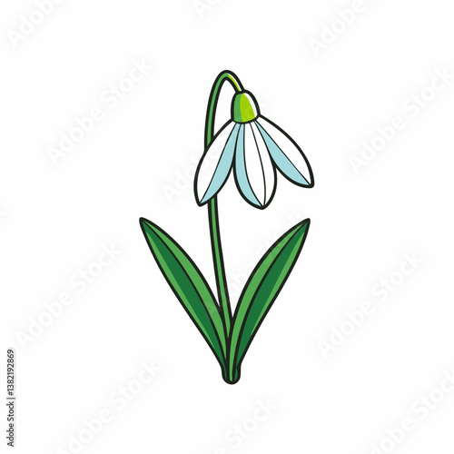 spring snowdrop flowers