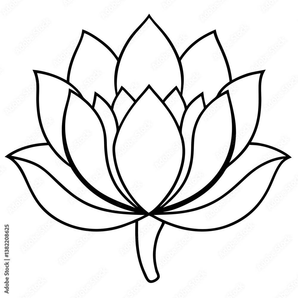 vector illustration of lotus vector illustration of lotus