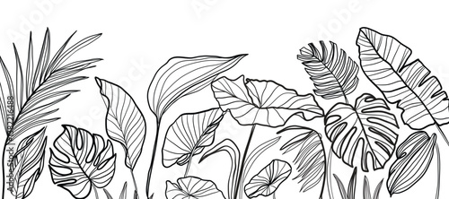 Tropical leaves background vector. Natural jungle monstera palm leaves design in minimal black and white color with contour line art. Design for fabric, print, cover, banner, decoration, wallpaper.