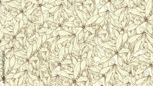 Monochrome floral pattern with vintage style. Vector vanilla flower pattern. Flower illustration