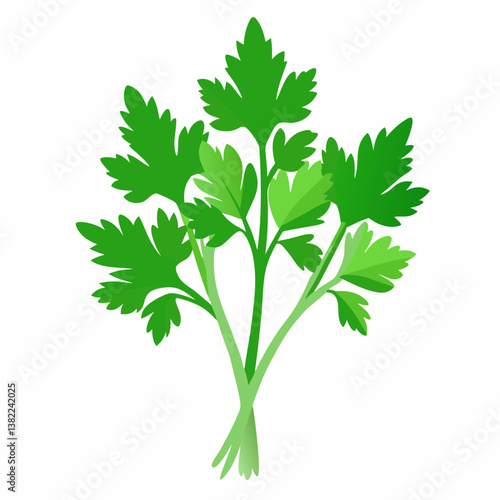 fresh parsley isolated on white