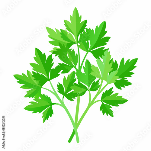 fresh parsley isolated on white