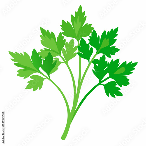 fresh parsley isolated on white