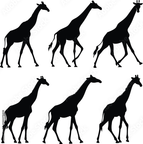 Photography "Silhouettes of Giraffes Walking - Animal Movement, Wildlife, and Nature Illustr