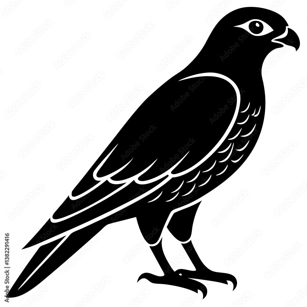Fototapeta premium vector illustration of a bird