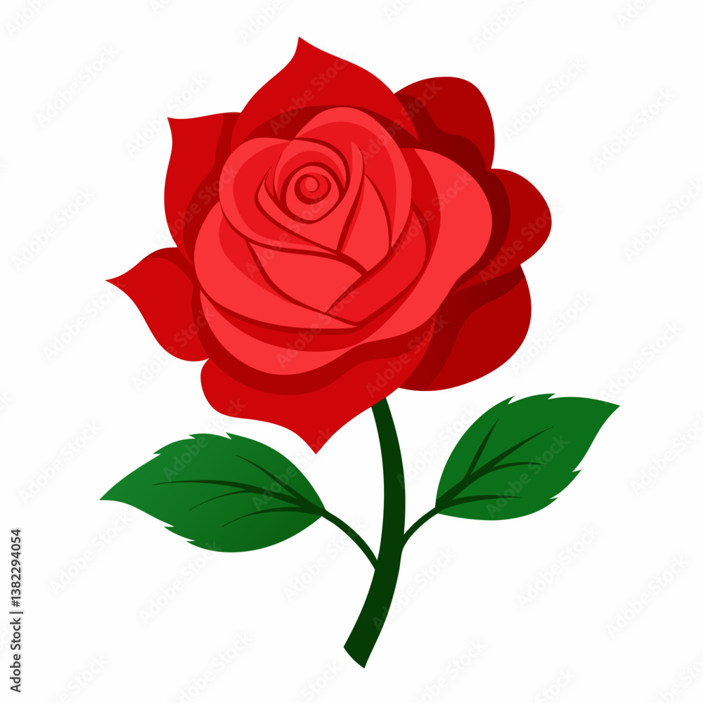 red rose isolated on white red rose isolated on white