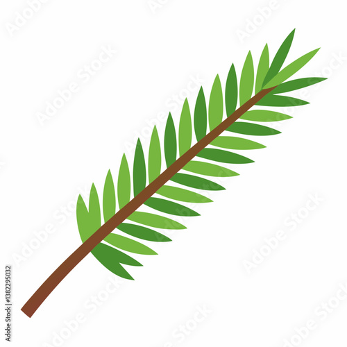 green fern leaf isolated on white
