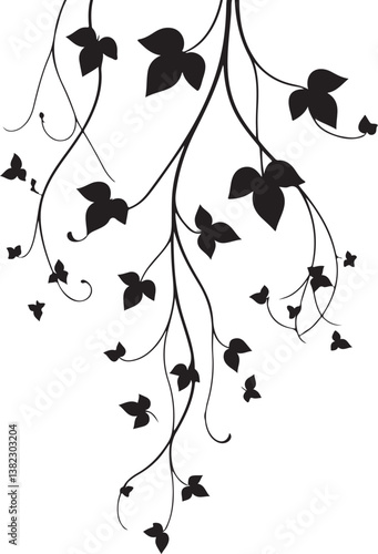 isolated climbing hawthorn plants ivy vine  Vector,climbing hawthorn plants ivy vine Silhouette,climbing hawthorn plants ivy vine icon set, climbing hawthorn plants ivy vine symbol ,black climbing haw