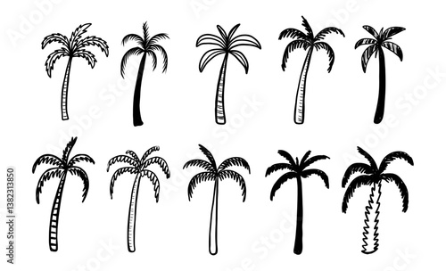 Set of hamd draw doodle palm set