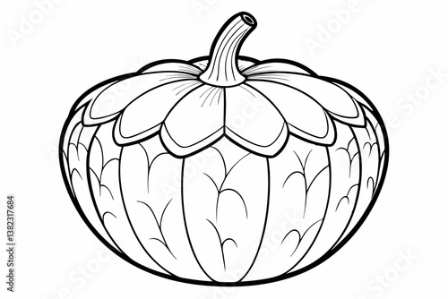 coloring page line art acorn squash black vector