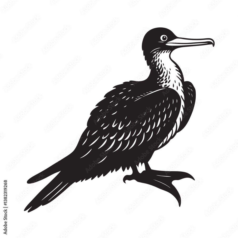 Obraz premium Magnificent frigatebird silhouette illustration
