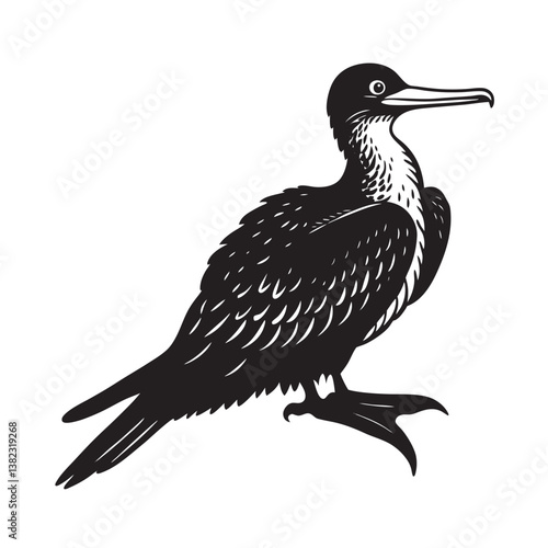  Magnificent frigatebird silhouette illustration
