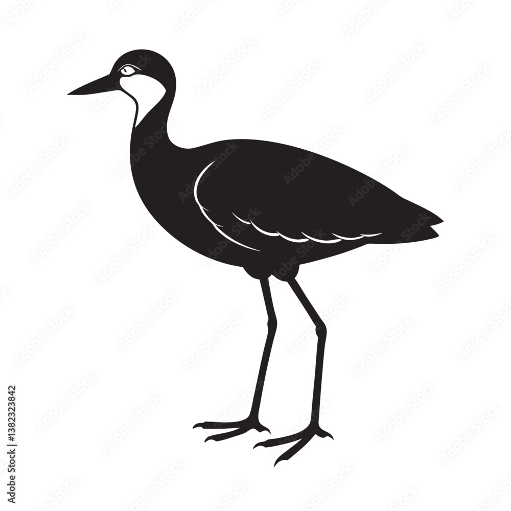 Obraz premium Black and pink birds silhouette, African jacana vector art, isolated wildlife