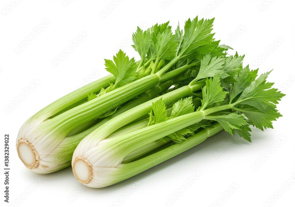 Two fresh celery stalks with vibrant green leaves isolated on a bright white background in a studio shot Two fresh celery stalks with vibrant green leaves isolated on a bright white background in a studio shot
