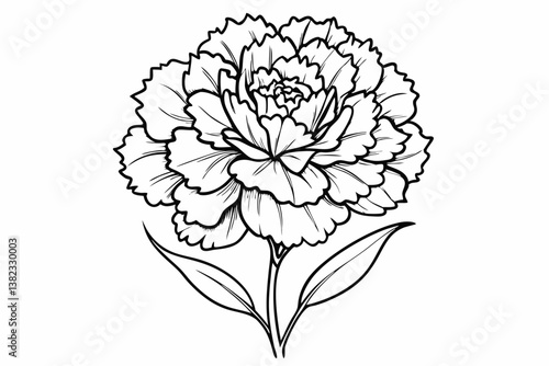 coloring page line art the carnation black vector