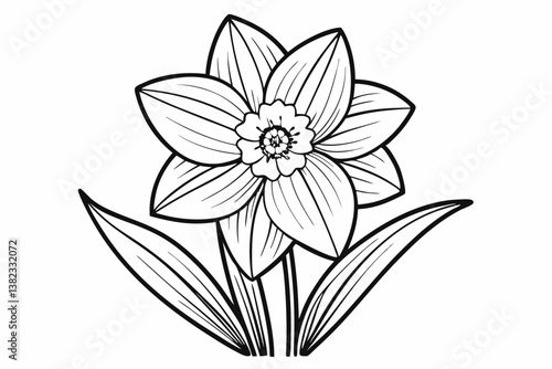 coloring page line art the daffodil black vector