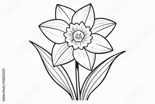 coloring page line art the daffodil black vector