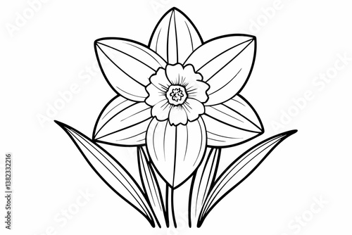 coloring page line art the daffodil black vector