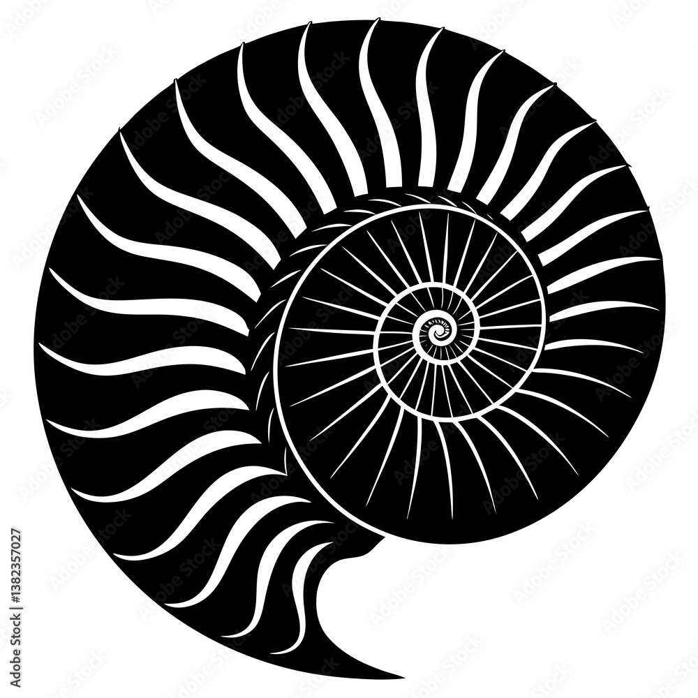 Obraz premium nautilus shell isolated on black