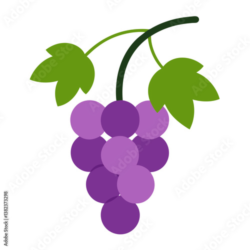 grapevine with hanging grapes
