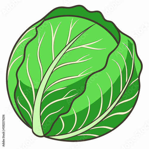 cabbage leaf isolated on white background