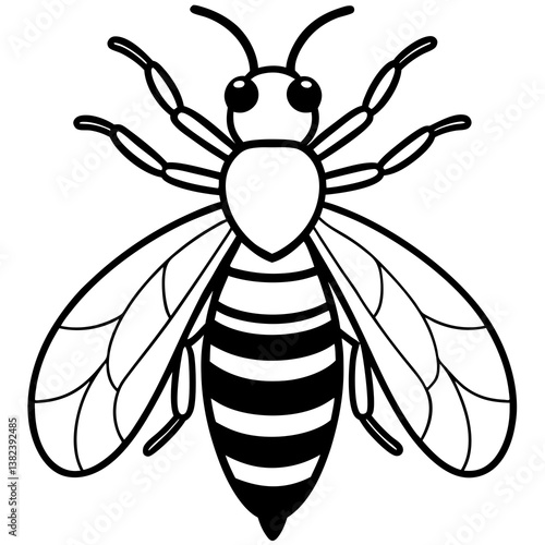 bee vector illustration