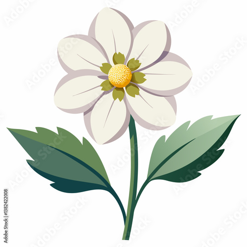 vector illustration of a camomile